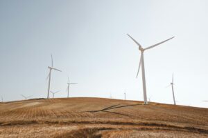 Exemplos de startups de energia renovável e sustentabilidade