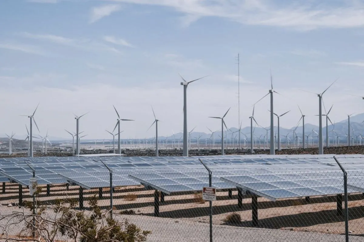 Como aceleradoras estão apoiando startups de energia limpa?